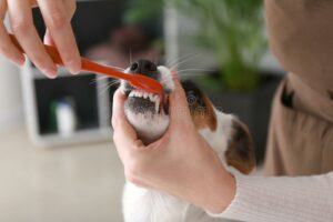 Teeth-cleaning