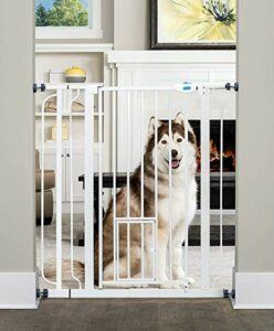 Dog-Gate