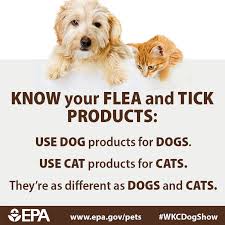 know-your-flea-and-tick-products
