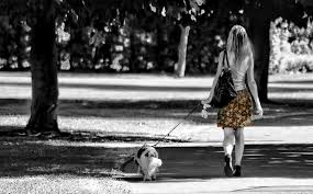woman-walking-dog