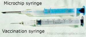 microchip-vs-vaccination-needle