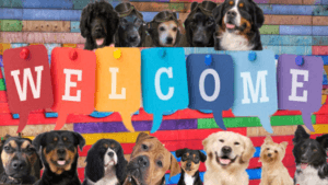 welcome-sign-with-dogs