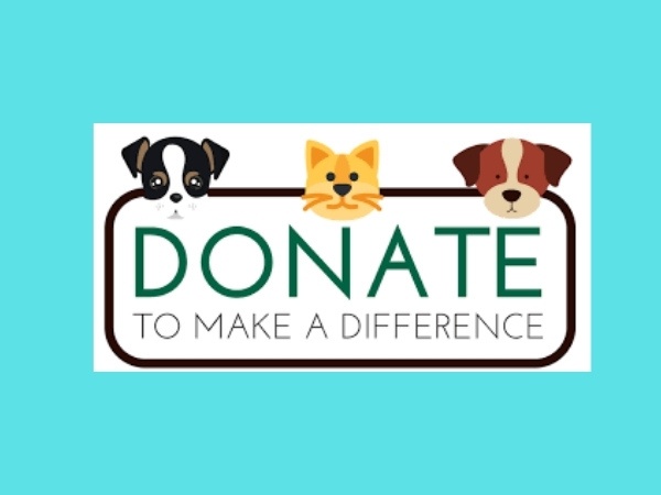 dogs-cat-donate