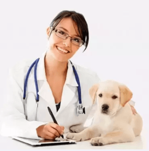 doctor-and-puppy