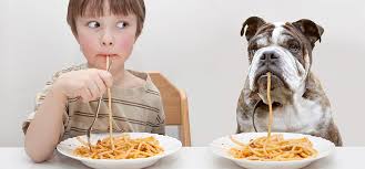 child-and-dog-eating-spaghetti-from-dish