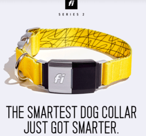 Fi-yellow-smartest-dog-collar