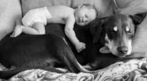 baby-bonding-with-rescue-dog