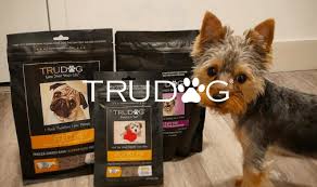 dog with packets of trudog food